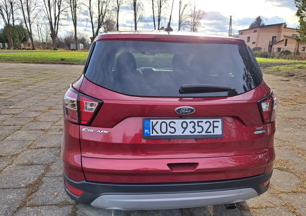 Ford Kuga cena 84000 przebieg: 71000, rok produkcji 2019 z Brzeszcze małe 301